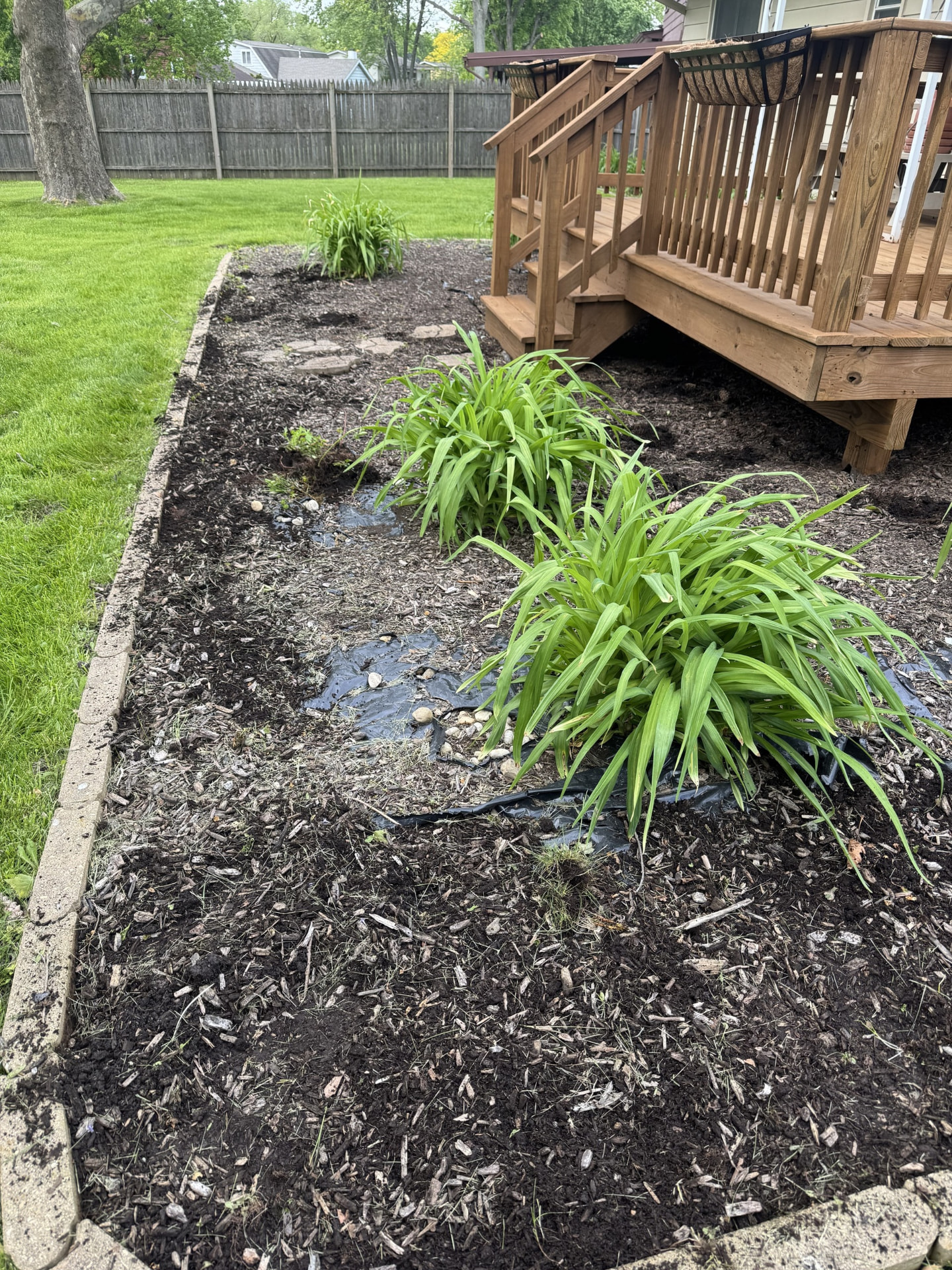 Before: Backyard planting bed mulch refresh.