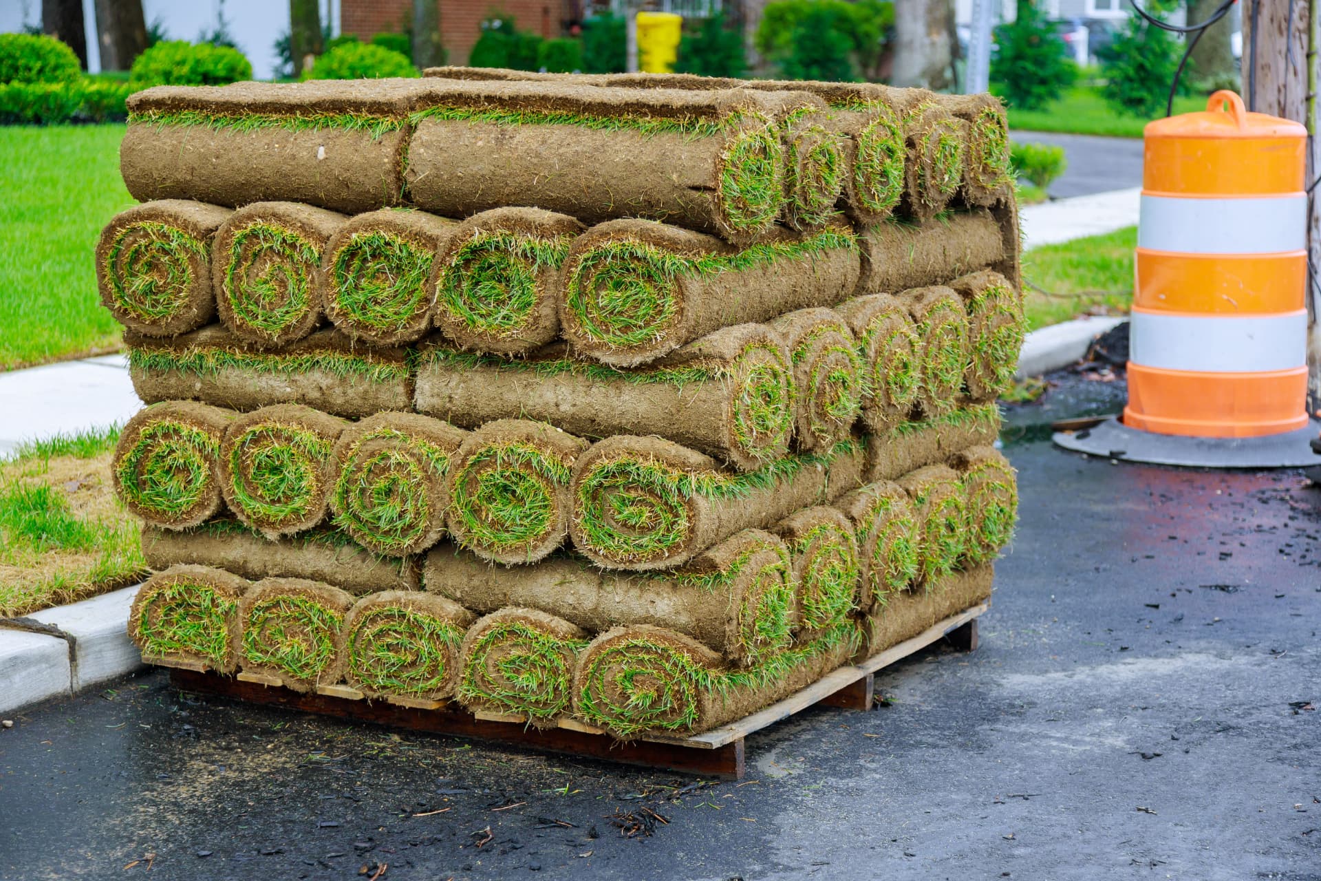 Sod Installation